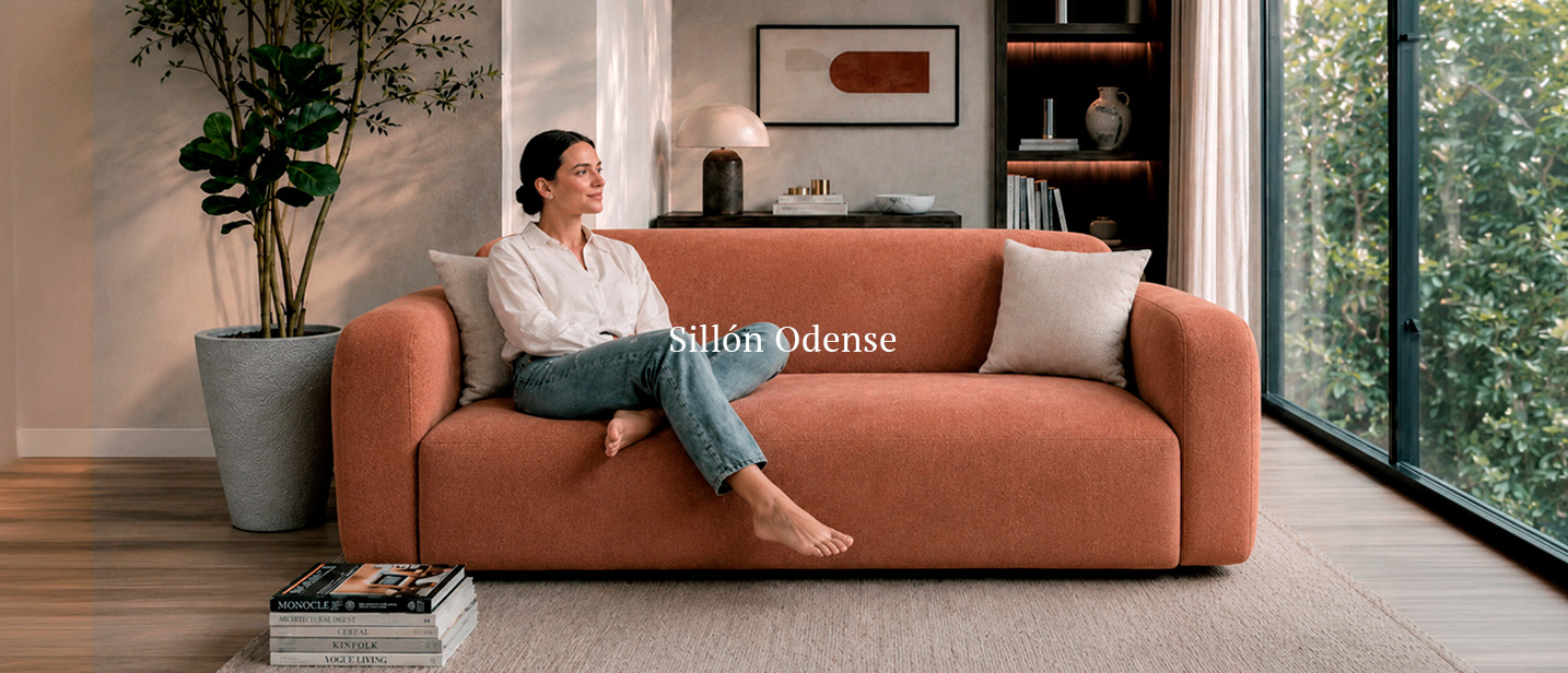 Sillon Odense